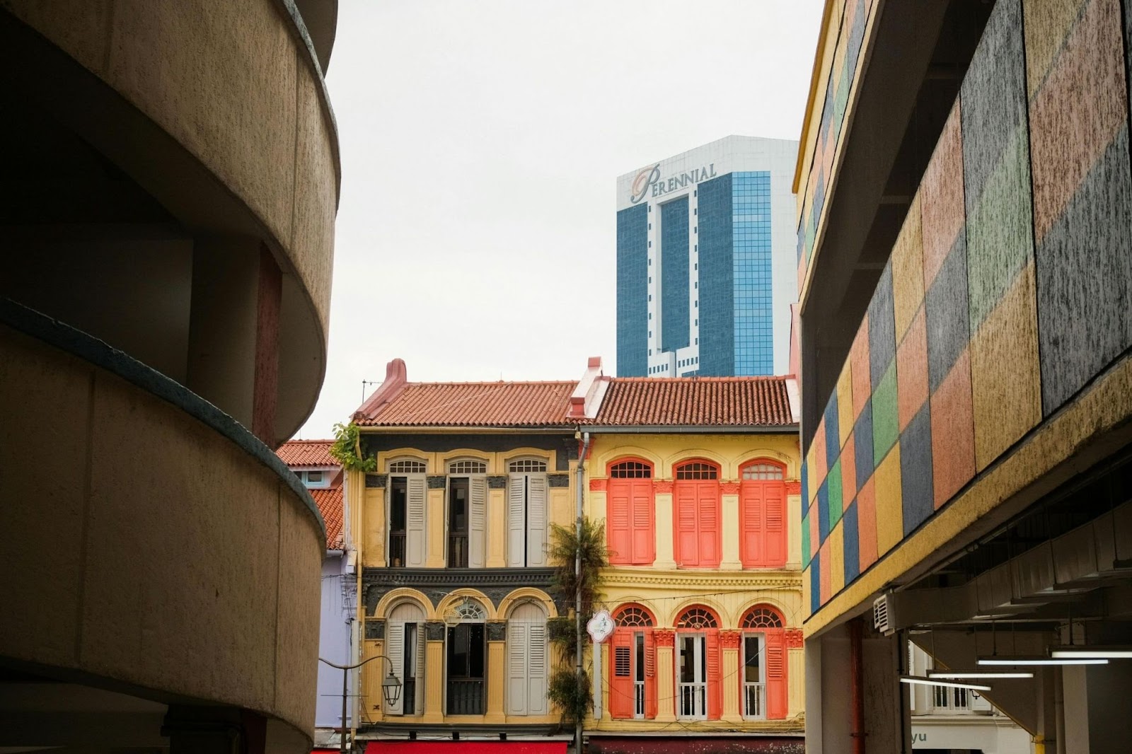 Entity 09 EOR vs Entity Setup in Singapore | Commenda