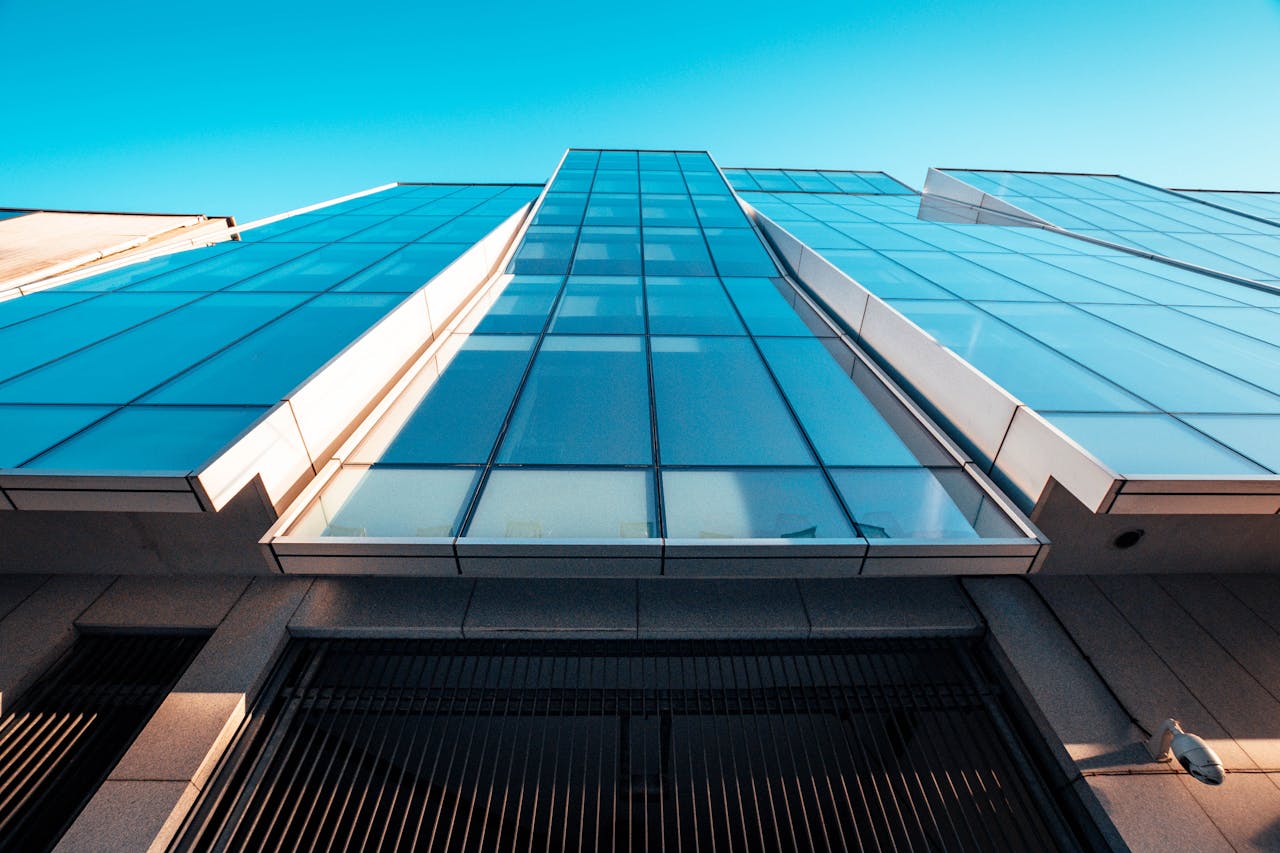 CS01 Form Filing Guide for UK Limited Companies | Companies House ...